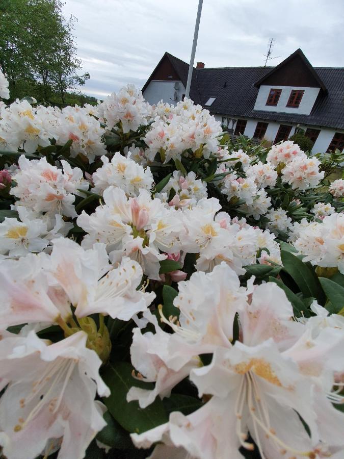 Bed and Breakfast Lysbjerg Fåborg Esterno foto